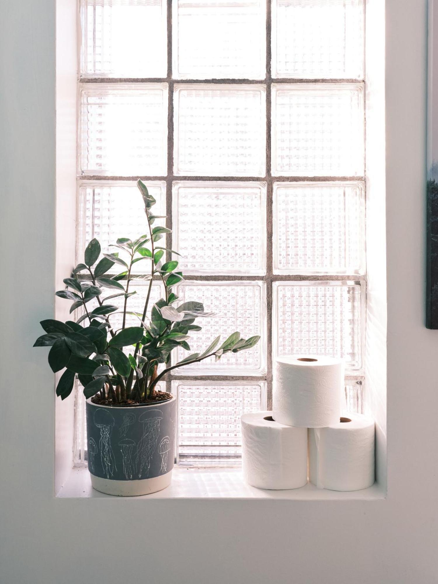 Deluxe Family Room,1505859994:JPEG