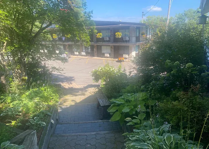 Panoramique